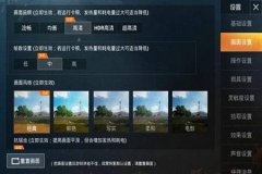 和平精英怎么打外挂（和平精英怎么可以打败外挂）